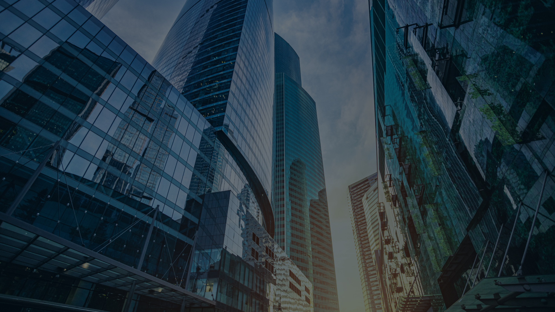 🎯 The Future of Work: 5 Skills You Need to Stay Ahead in 2025 (and Beyond)